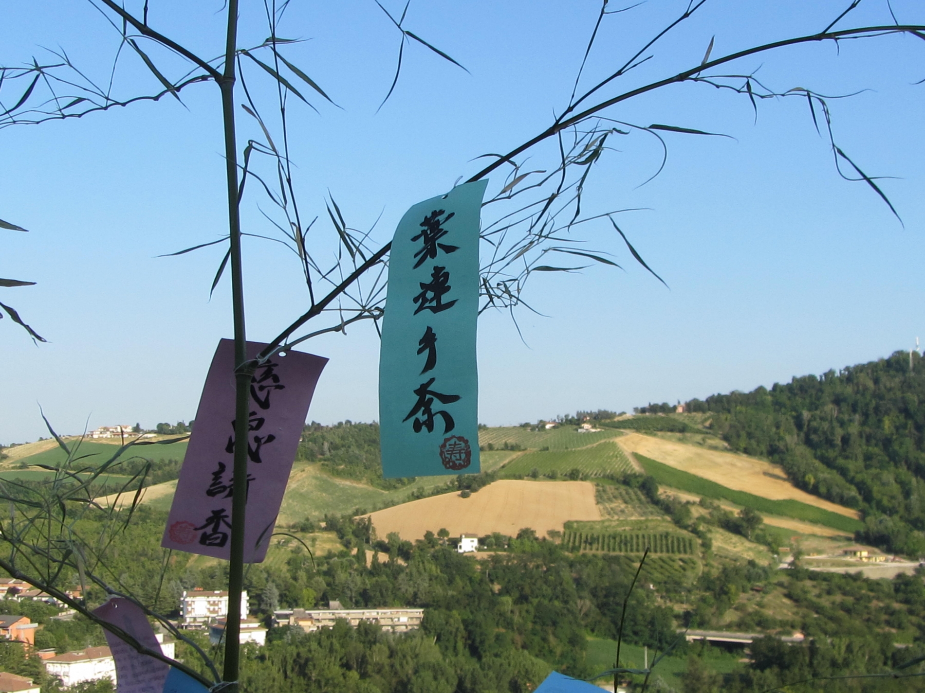 Tanabata-6